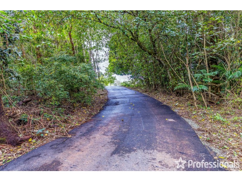 29 Palm Grove, Tamborine Mountain QLD 4272