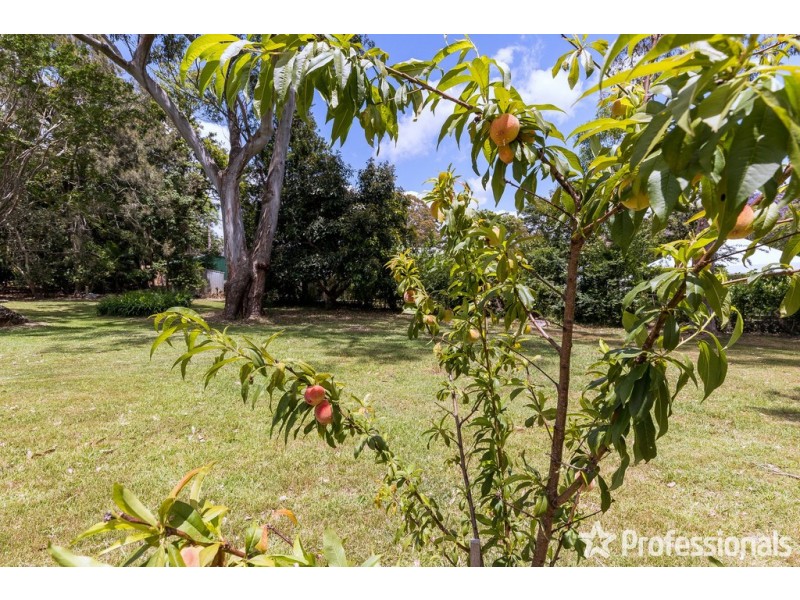 48-50 Sequoia Drive, Tamborine Mountain QLD 4272