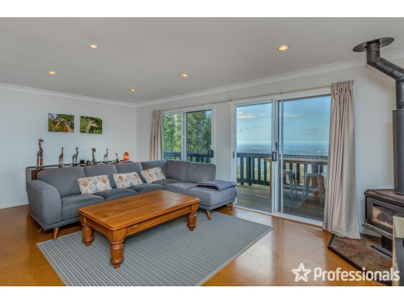 141 Guanaba Road, Tamborine Mountain QLD 4272