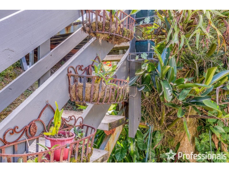 141 Guanaba Road, Tamborine Mountain QLD 4272