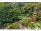 77 Kinabalu Drive, Tamborine Mountain QLD 4272