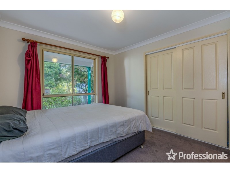 283 Macdonnell Road, Tamborine Mountain QLD 4272