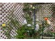 33 Capo Di Monte, Tamborine Mountain QLD 4272