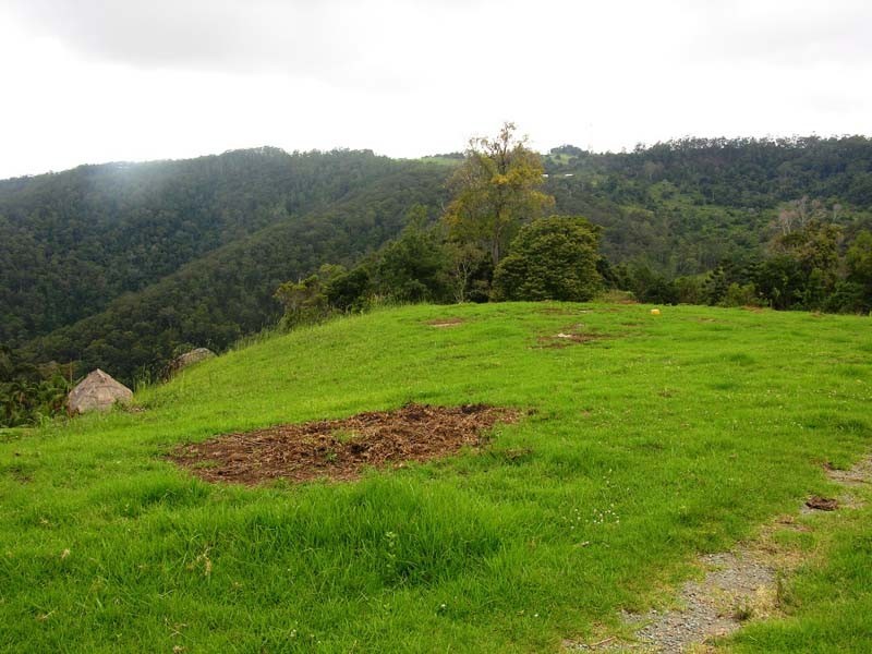 Lot 100 Licuala Drive, North Tamborine QLD 4272