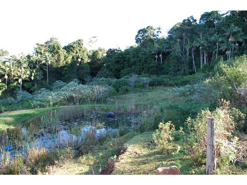 Lot 100 Licuala Drive, North Tamborine QLD 4272