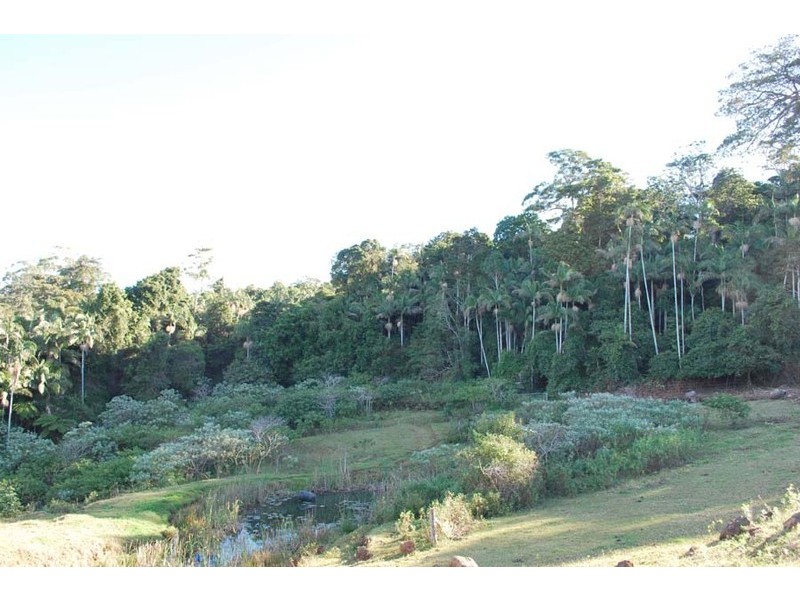 Lot 100 Licuala Drive, North Tamborine QLD 4272