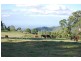 Lot 100 Licuala Drive, North Tamborine QLD 4272