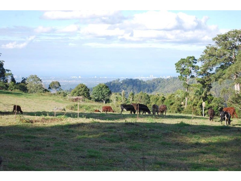 Lot 100 Licuala Drive, North Tamborine QLD 4272