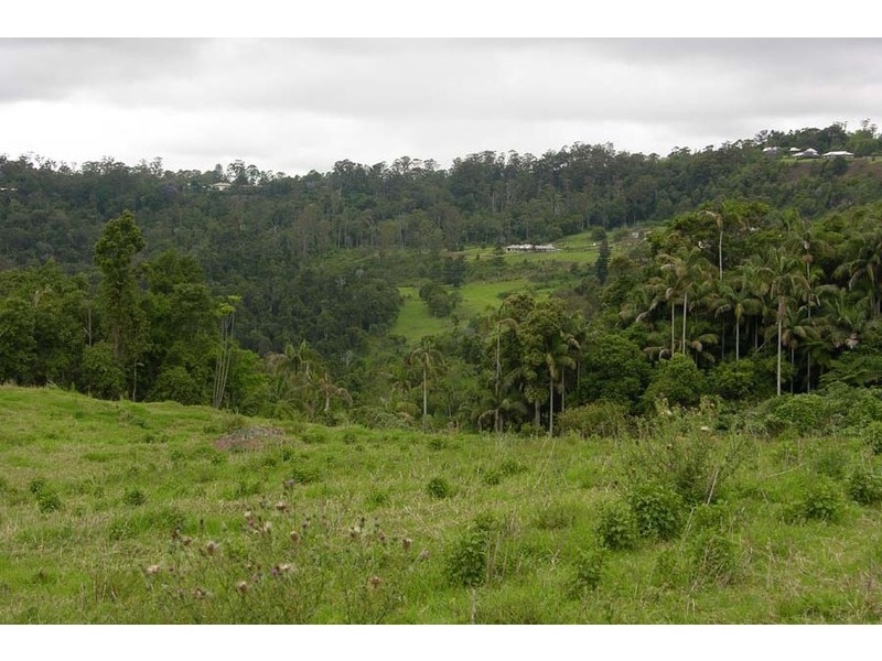 Lot 100 Licuala Drive, North Tamborine QLD 4272