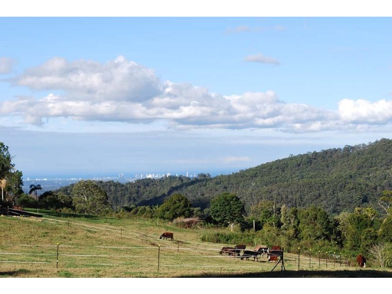 Lot 100 Licuala Drive, North Tamborine QLD 4272