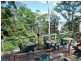 Tamborine Mountain QLD 4272