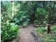 Tamborine Mountain QLD 4272