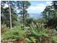 Tamborine Mountain QLD 4272