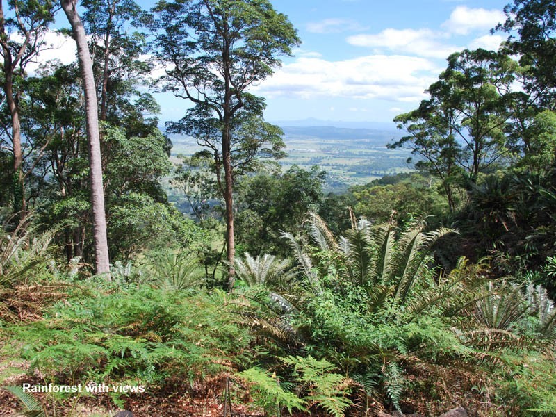 Tamborine Mountain QLD 4272