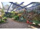 41 Alpine Tce, Tamborine Mountain QLD 4272