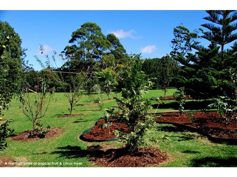 32-36 Wilson Road, Tamborine Mountain QLD 4272