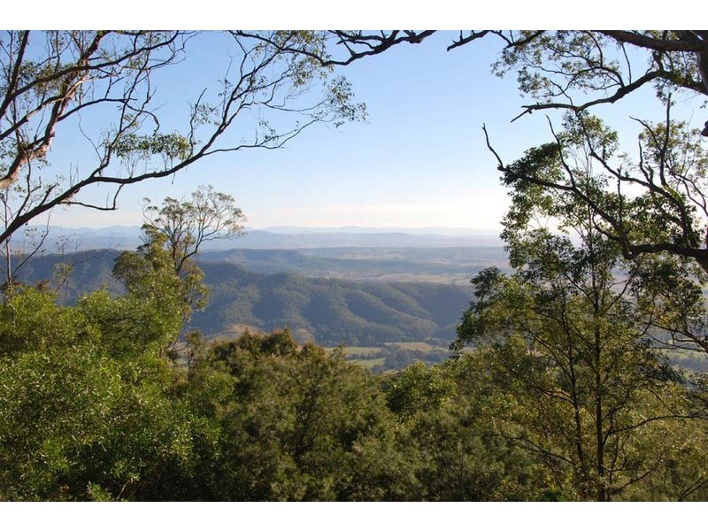 Tamborine Mountain QLD 4272