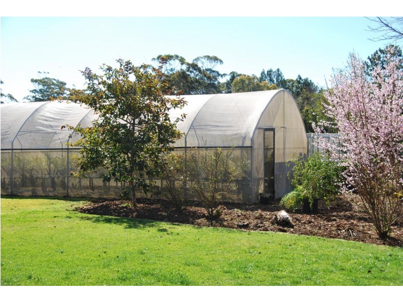 638-642 Main Western Road, Tamborine Mountain QLD 4272