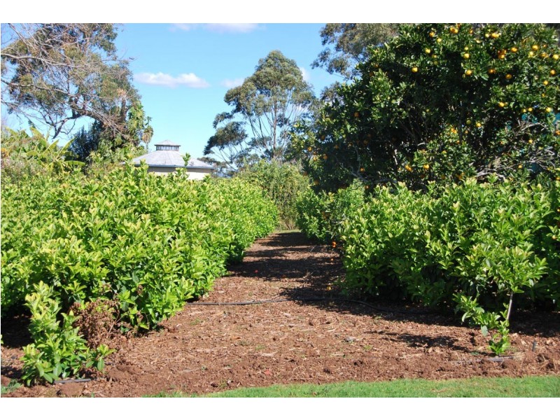 638-642 Main Western Road, Tamborine Mountain QLD 4272