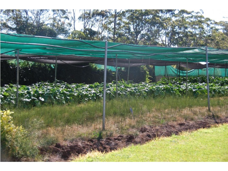 638-642 Main Western Road, Tamborine Mountain QLD 4272