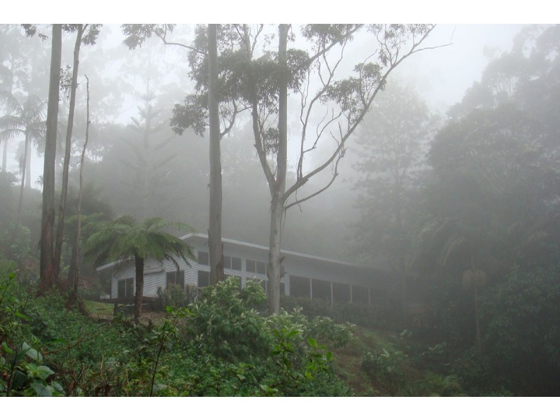 North Tamborine QLD 4272