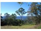 Tamborine Mountain QLD 4272