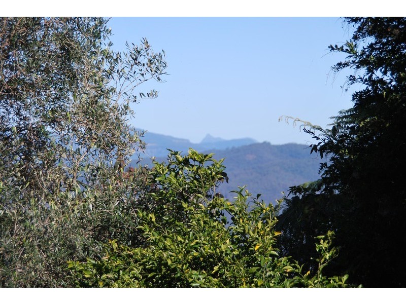 50 Coomera Gorge Drive, Tamborine Mountain QLD 4272