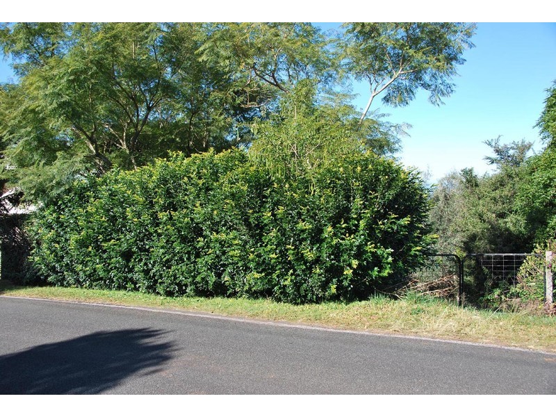 50 Coomera Gorge Drive, Tamborine Mountain QLD 4272