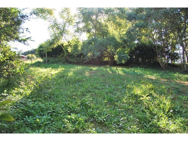 50 Coomera Gorge Drive, Tamborine Mountain QLD 4272