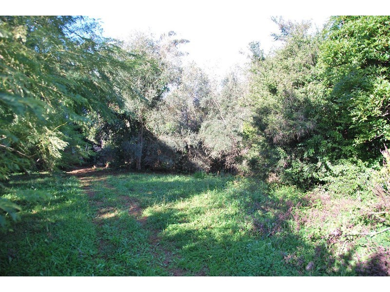 50 Coomera Gorge Drive, Tamborine Mountain QLD 4272