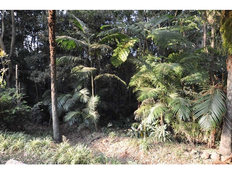 38 Wongawallan Road, Eagle Heights QLD 4271