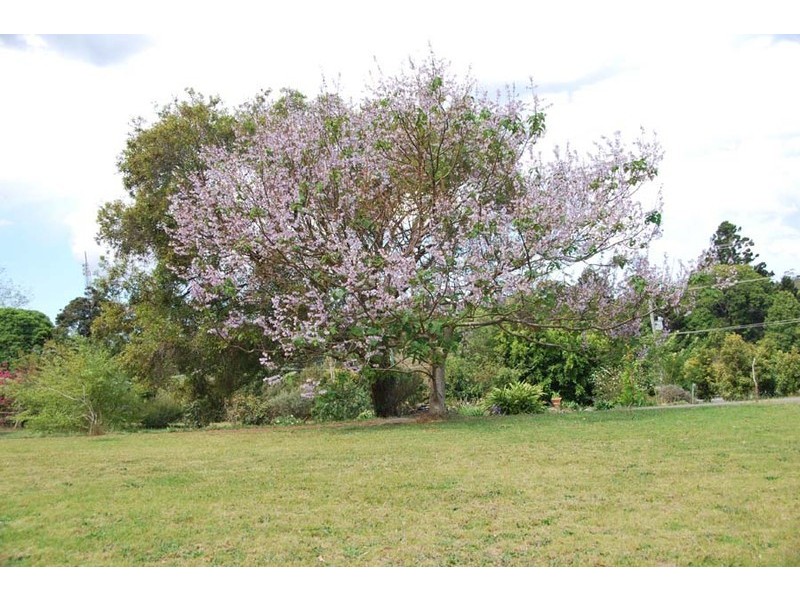 Tamborine Mountain QLD 4272