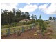 Eagle Heights QLD 4271