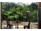 Eagle Heights QLD 4271