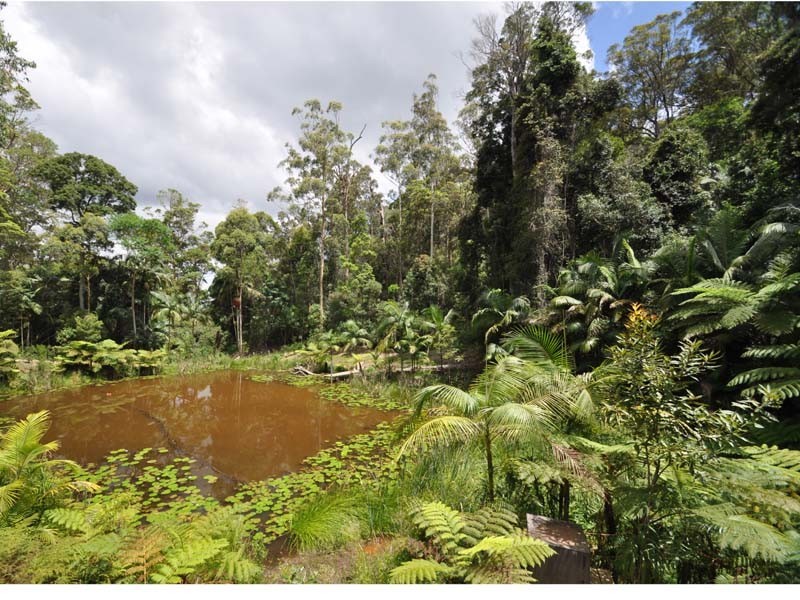 19 Eagles Retreat Place, Eagle Heights QLD 4271