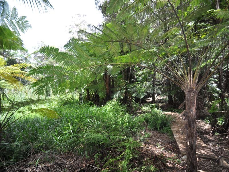 19 Eagles Retreat Place, Eagle Heights QLD 4271