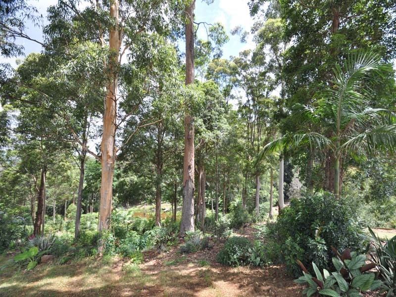 19 Eagles Retreat Place, Eagle Heights QLD 4271