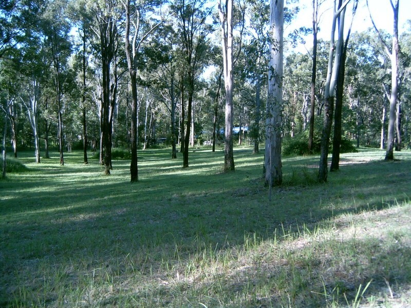 4 Chianina Ct, Tamborine QLD 4270