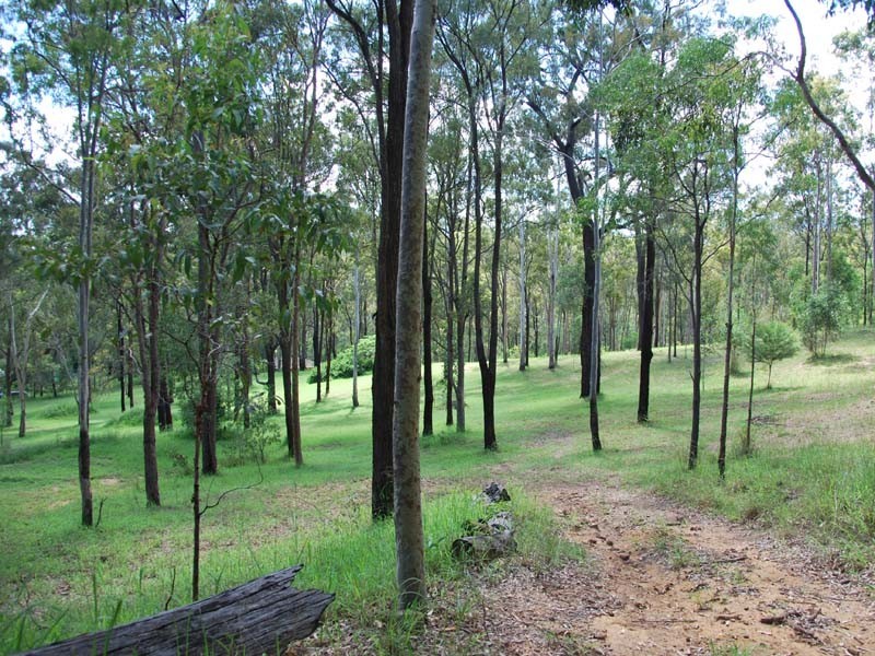 4 Chianina Ct, Tamborine QLD 4270