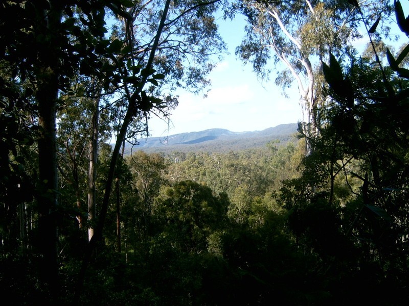 4 Chianina Ct, Tamborine QLD 4270