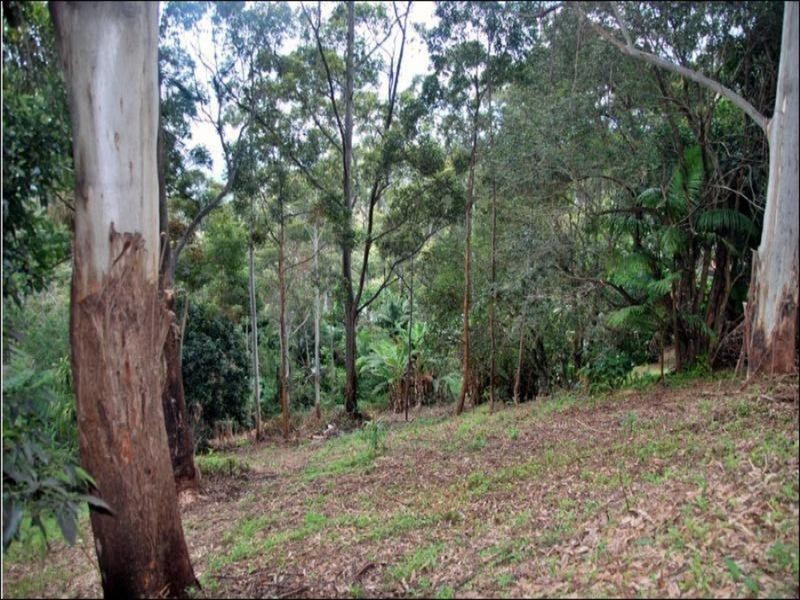 75 Contour Road, Eagle Heights QLD 4271