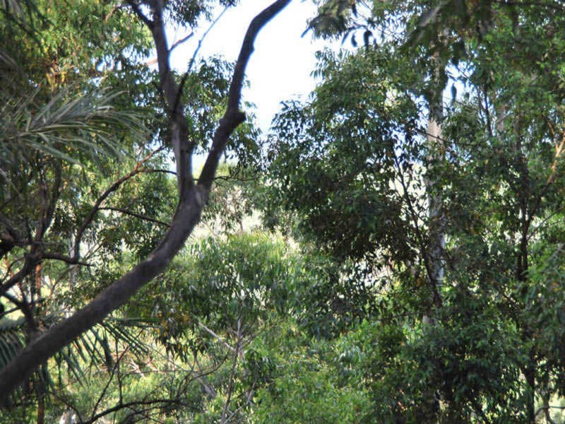 75 Contour Road, Eagle Heights QLD 4271