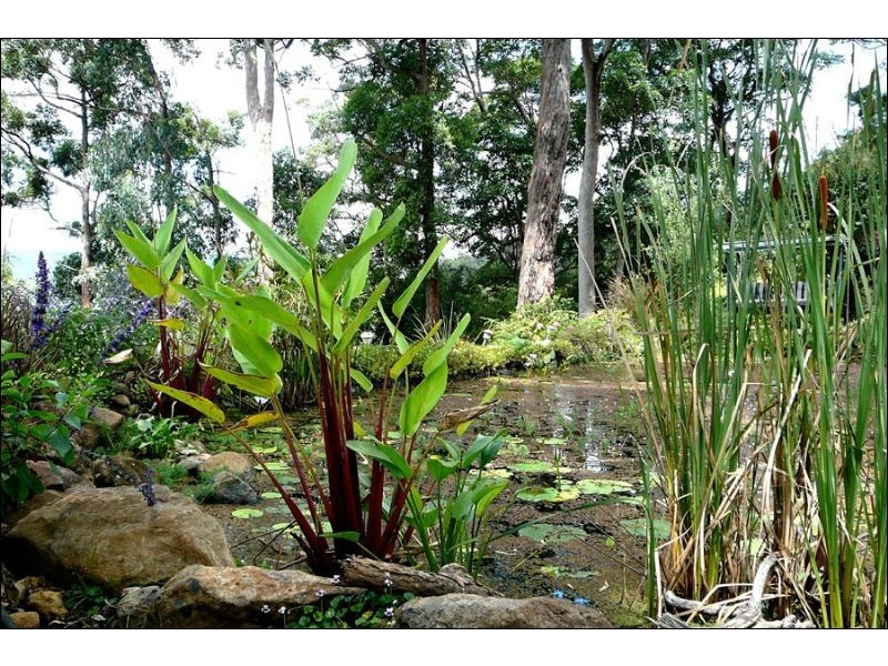 29 Eagles Retreat Place, Eagle Heights QLD 4271