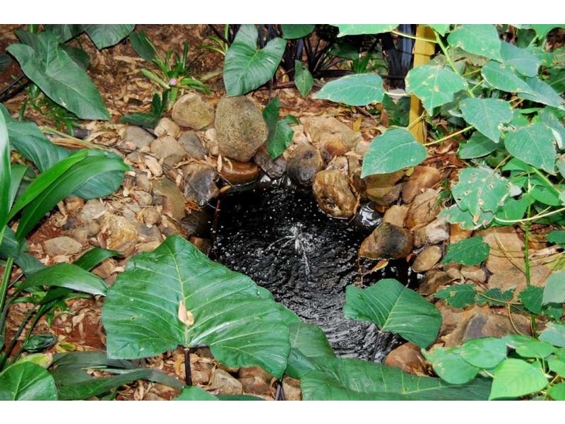 North Tamborine QLD 4272