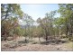 281 Guanaba Road, Tamborine Mountain QLD 4272