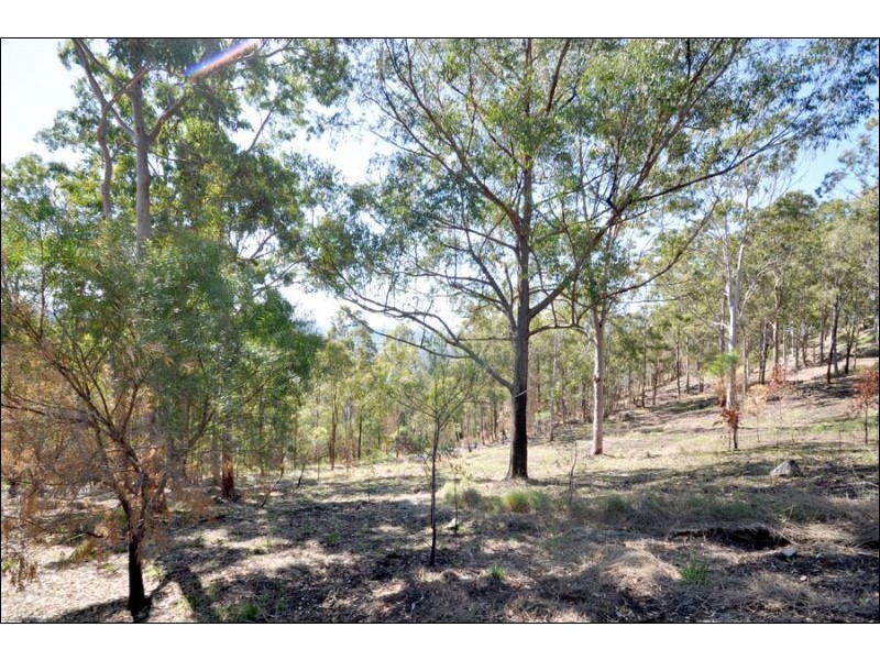 281 Guanaba Road, Tamborine Mountain QLD 4272