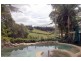 Tamborine Mountain QLD 4272
