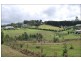 Tamborine Mountain QLD 4272