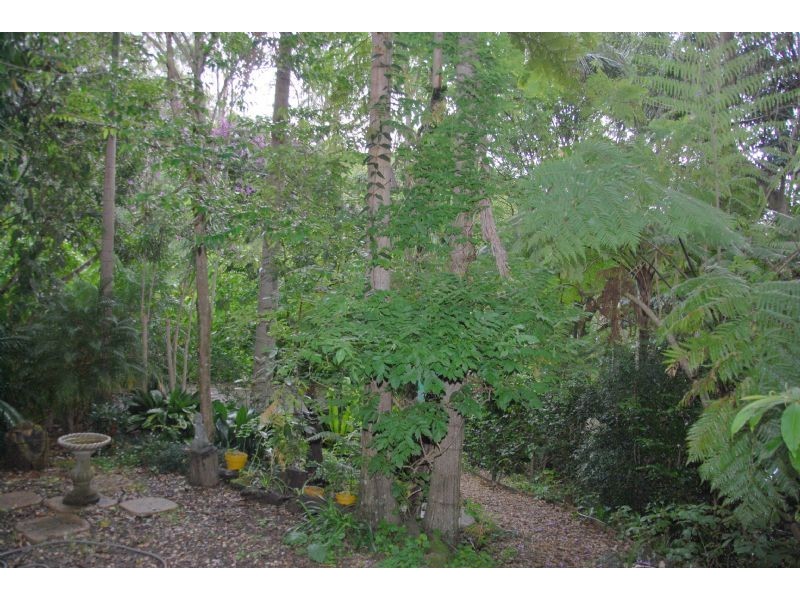 59 Long Road, Eagle Heights QLD 4271