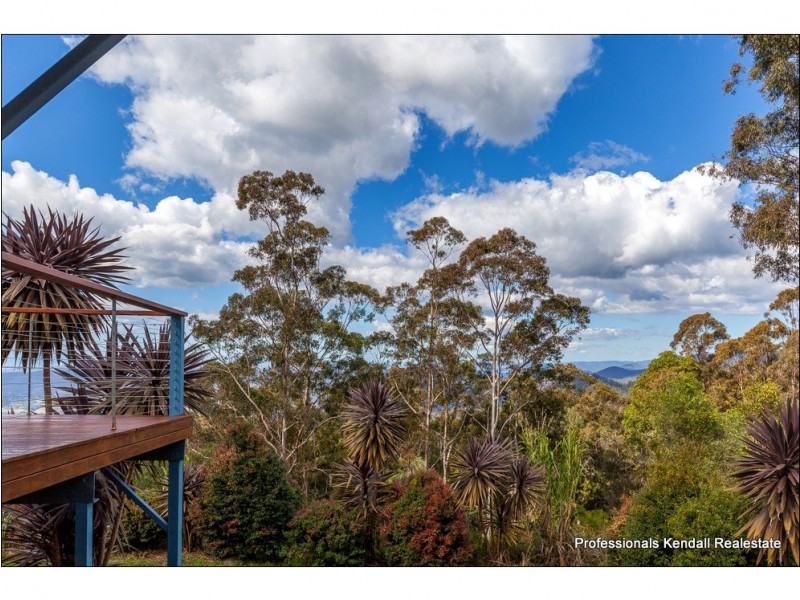 181 Guanaba Road, Tamborine Mountain QLD 4272